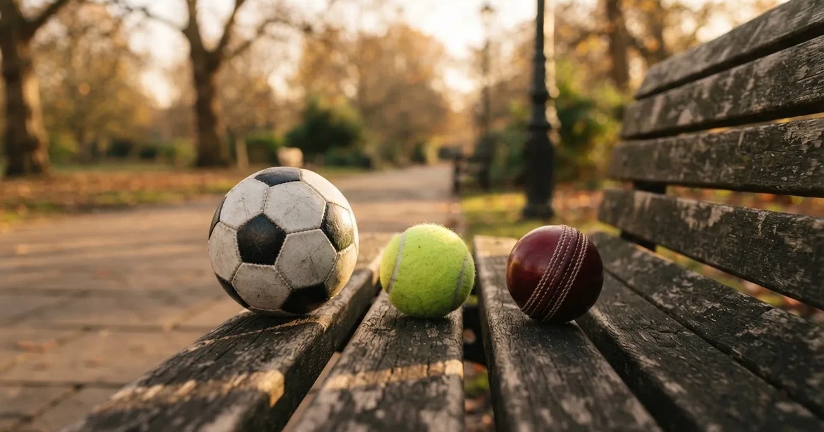 Three balls of different kinds side by side on a wooden bench