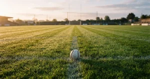 Online hurling betting 2026 — what the odds really cost the punter